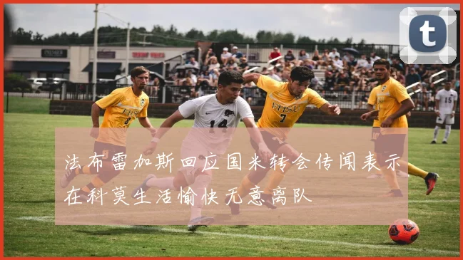 法布雷加斯回应国米转会传闻表示在科莫生活愉快无意离队